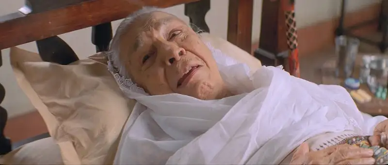 Veer Zaara Screenshot 5