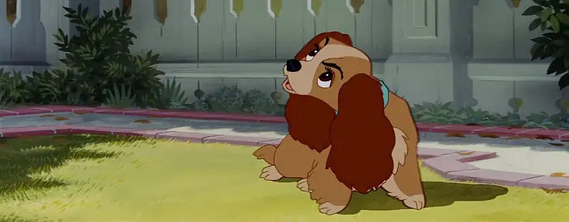 Lady and the Tramp Screenshot 2