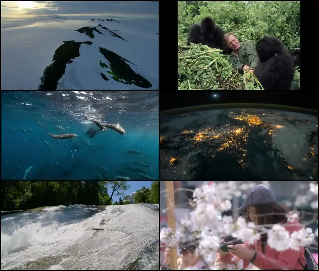 David Attenborough: A Life on Our Planet Screenshot 1