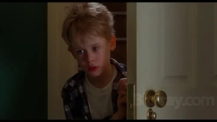 Home Alone Screenshot 3