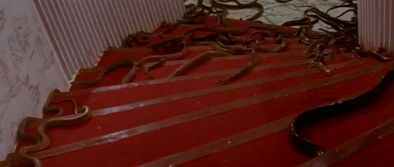 Calamity of Snakes Screenshot 4
