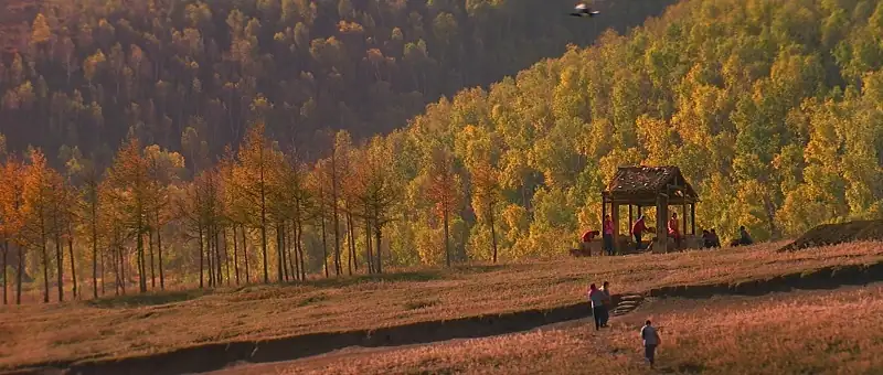 The Road Home Screenshot 2