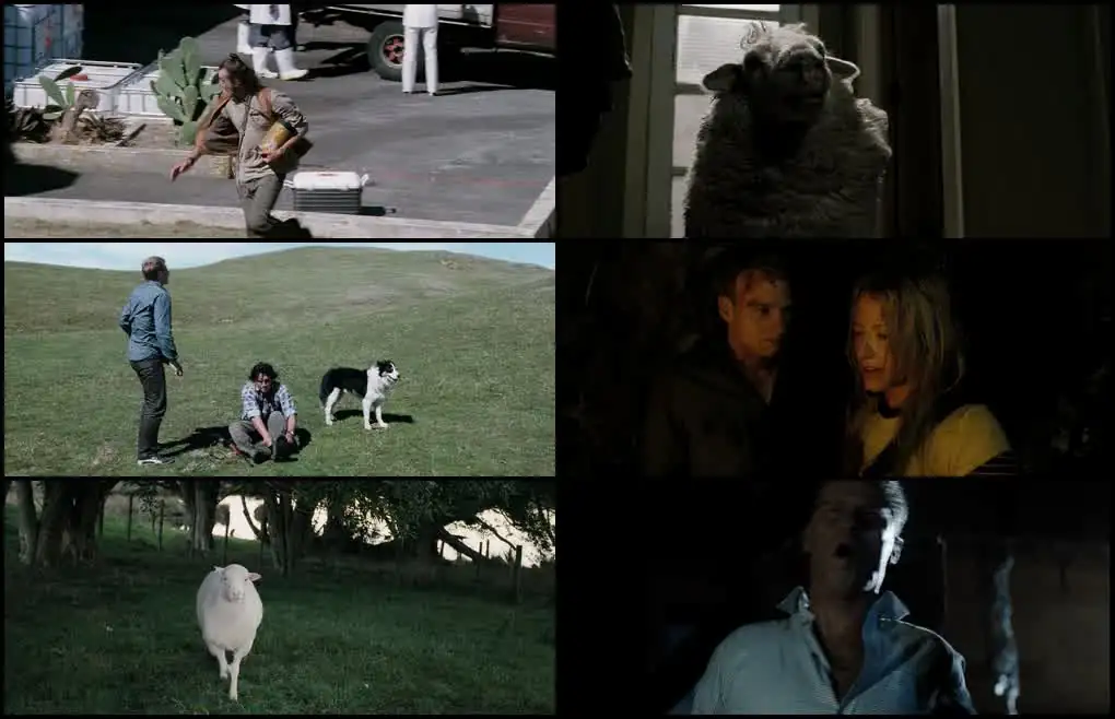 Black Sheep Screenshot 1 Black Sheep Screenshot 1