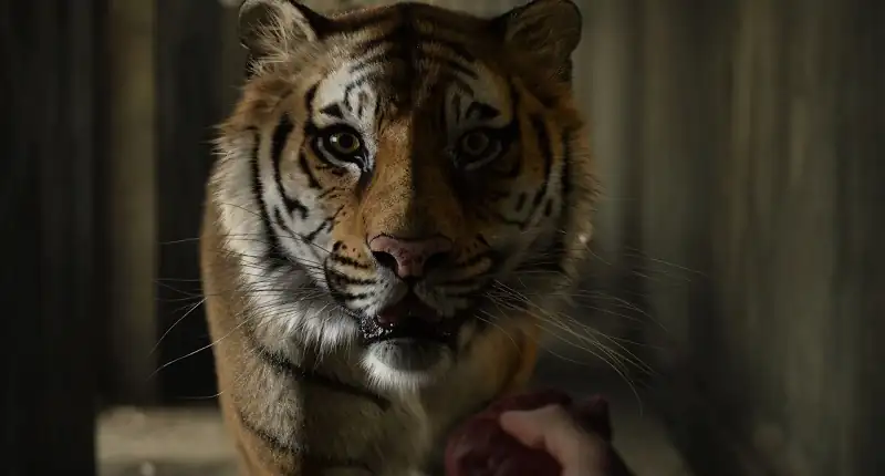 Life of Pi Screenshot 2