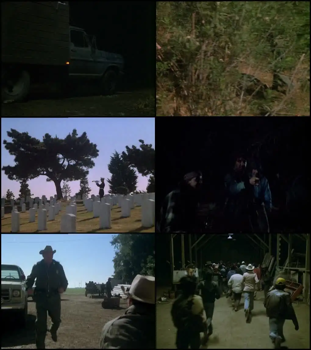 Borderline Screenshot 1