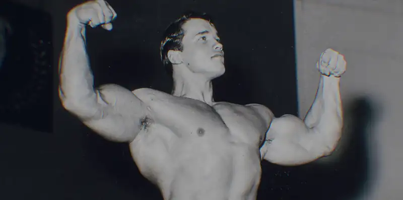 Arnold Screenshot 4
