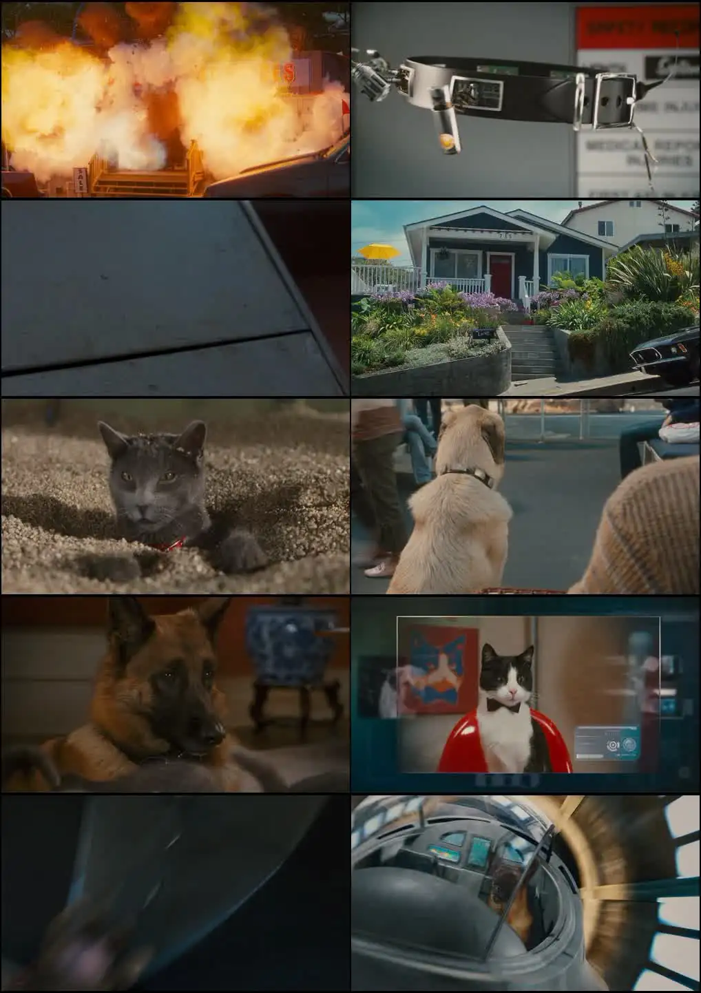 Cats & Dogs: The Revenge of Kitty Galore Screenshot 1 Cats & Dogs: The Revenge of Kitty Galore Screenshot 1