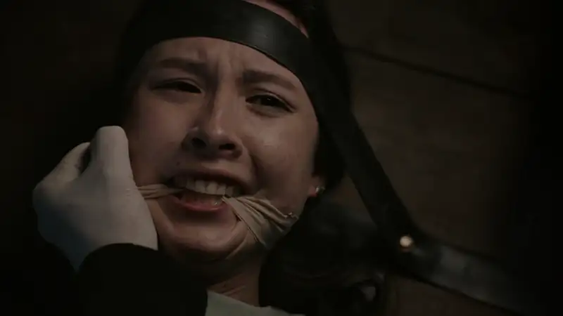 Girl at the Window Screenshot 4