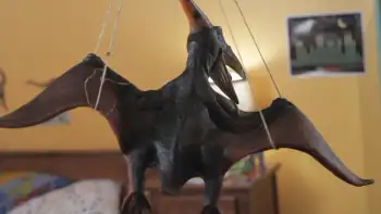 Jurassic School Screenshot 2