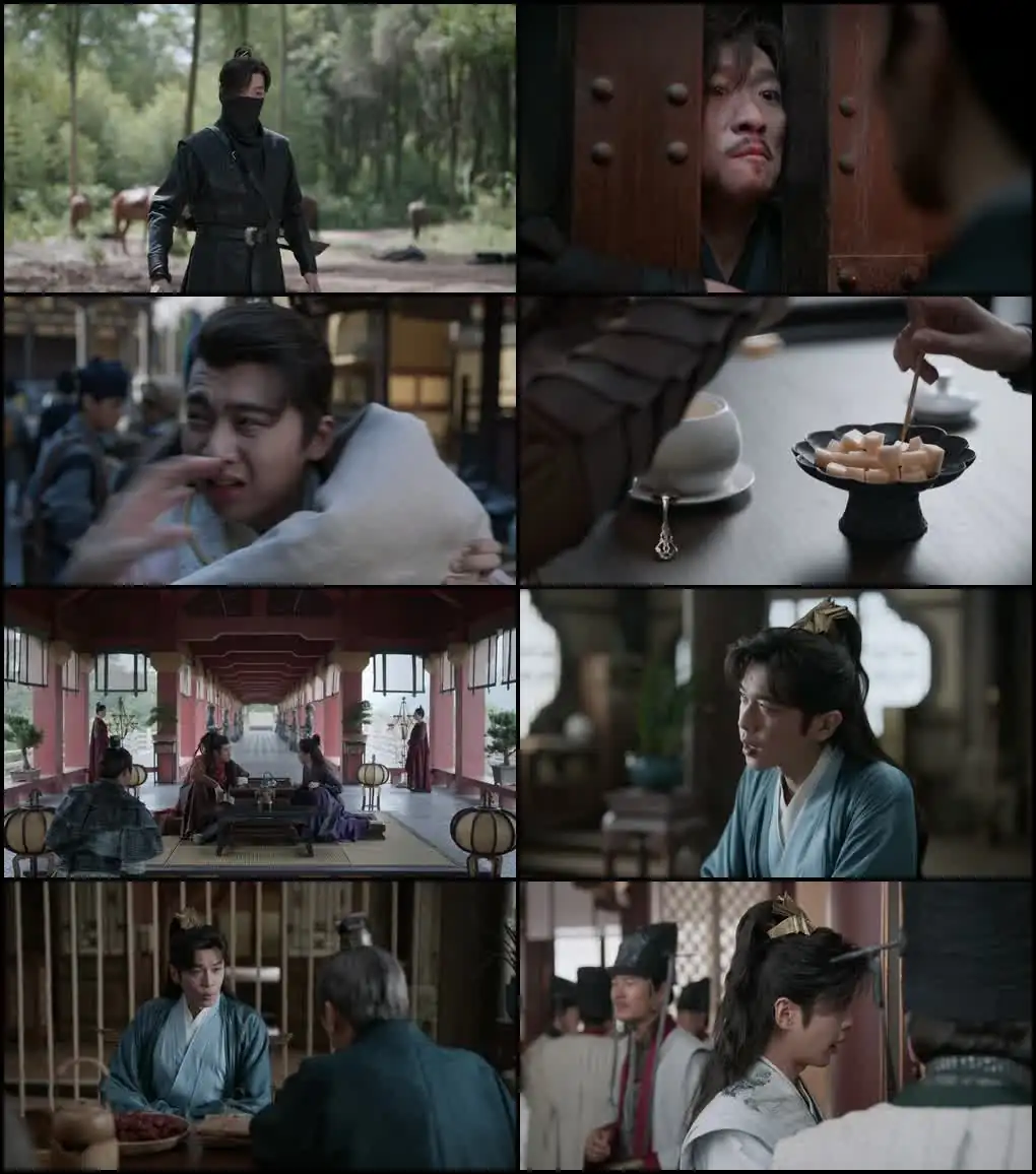 Joy of Life Screenshot 1