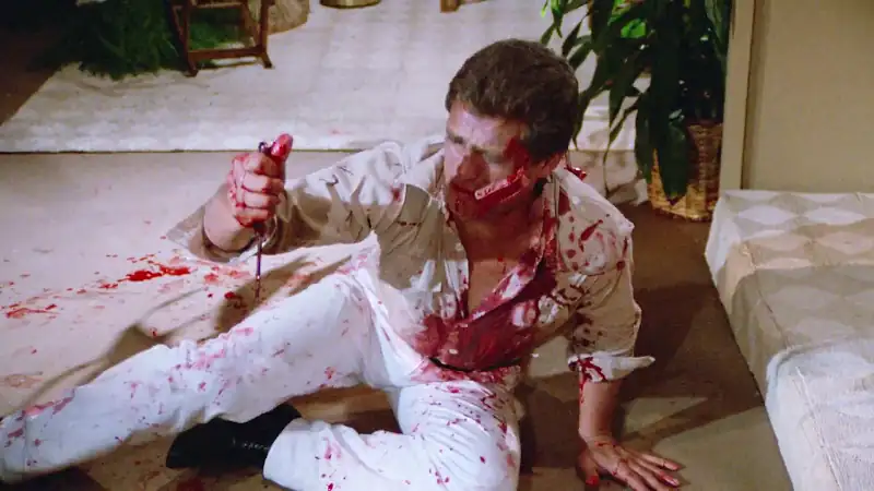 Hard Ticket to Hawaii Screenshot 4 Hard Ticket to Hawaii Screenshot 4