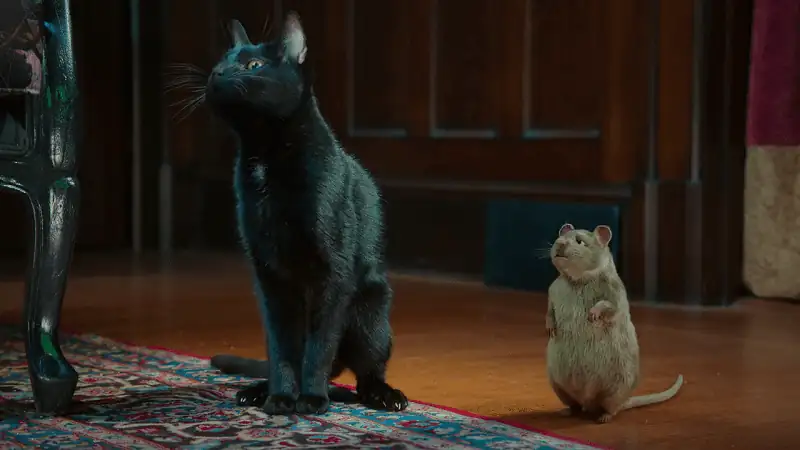 Scaredy Cats Screenshot 2