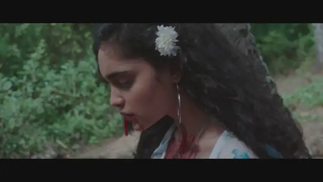 Kinnerasani Screenshot 2