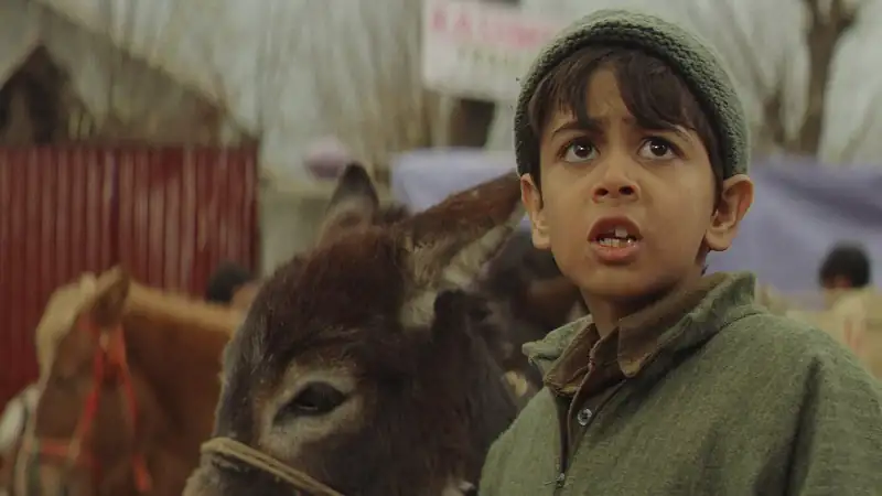 Tahaan Screenshot 1
