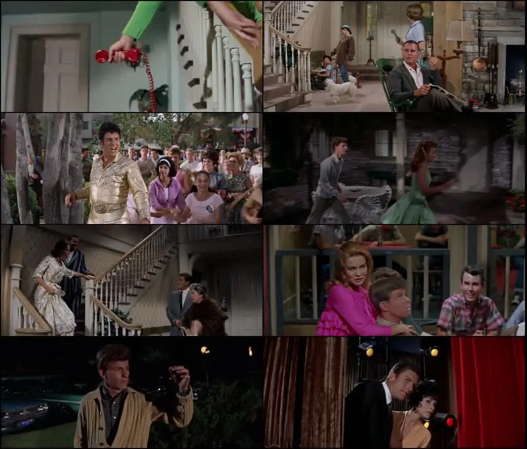Bye Bye Birdie Screenshot 1