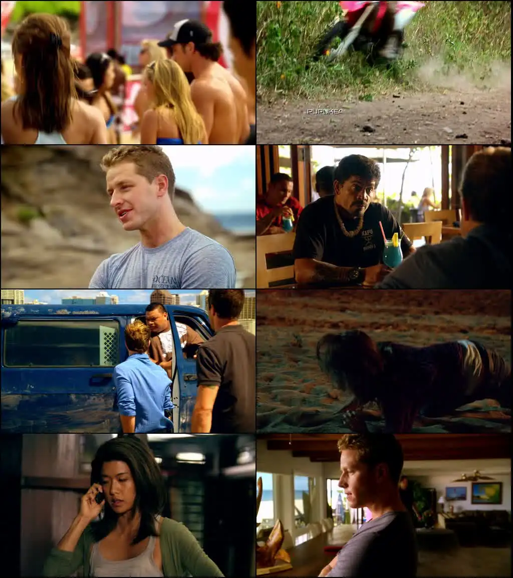 Hawaii Five-0 Screenshot 1