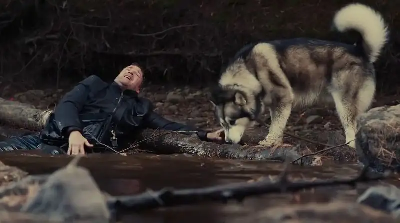 Against The Wild III: The Journey Home / Hero Dog: The Journey Home Screenshot 3