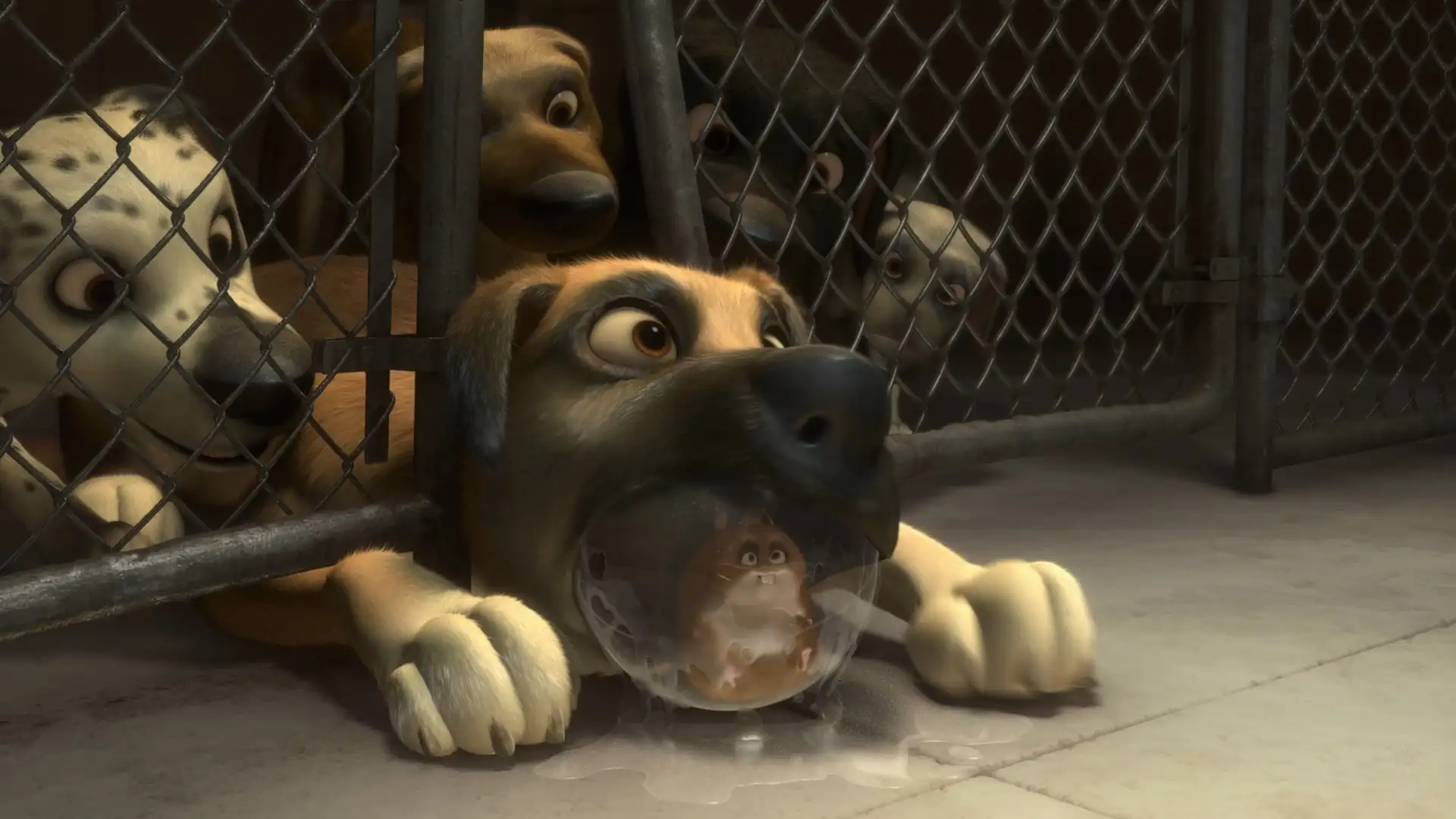 Bolt Screenshot 3