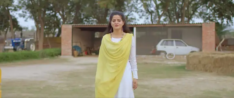 Countryside Gunday Screenshot 6