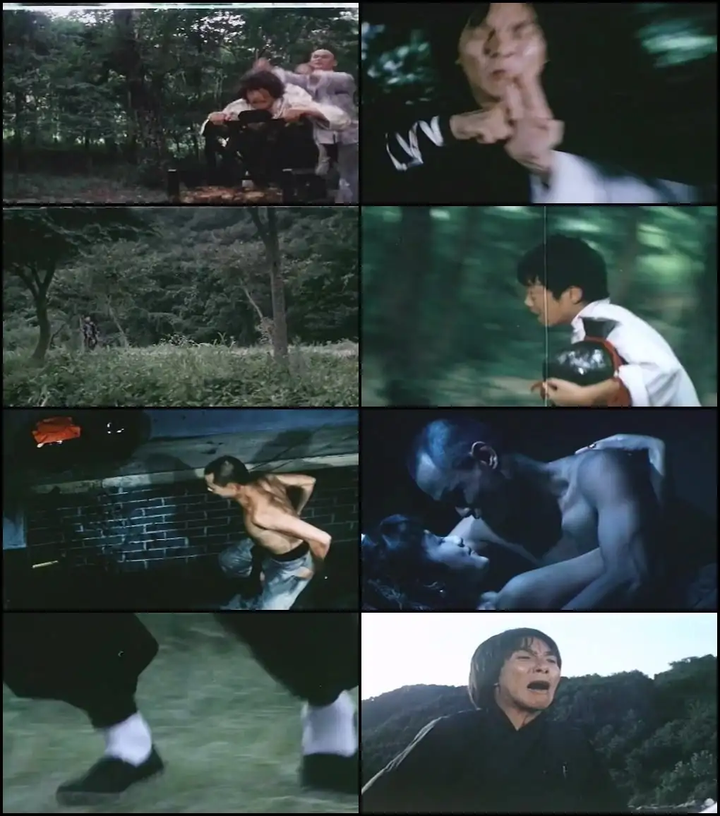 Shaolin Drunken Monk Screenshot 1 Shaolin Drunken Monk Screenshot 1