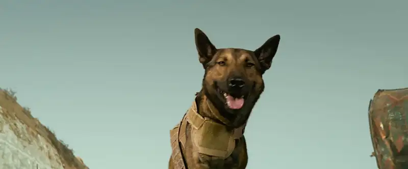 Max Screenshot 1