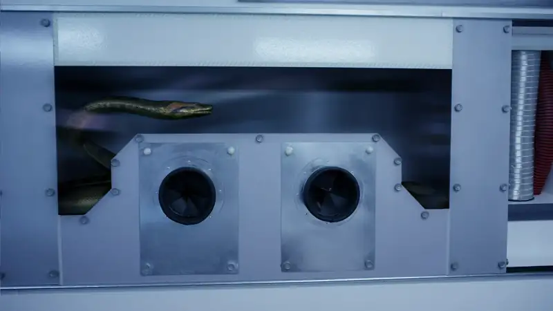 Lake Placid vs. Anaconda Screenshot 1