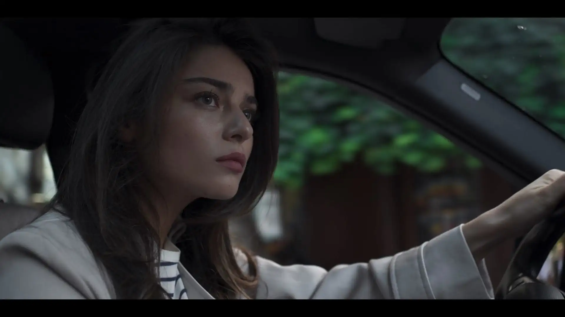 The Protector Screenshot 2