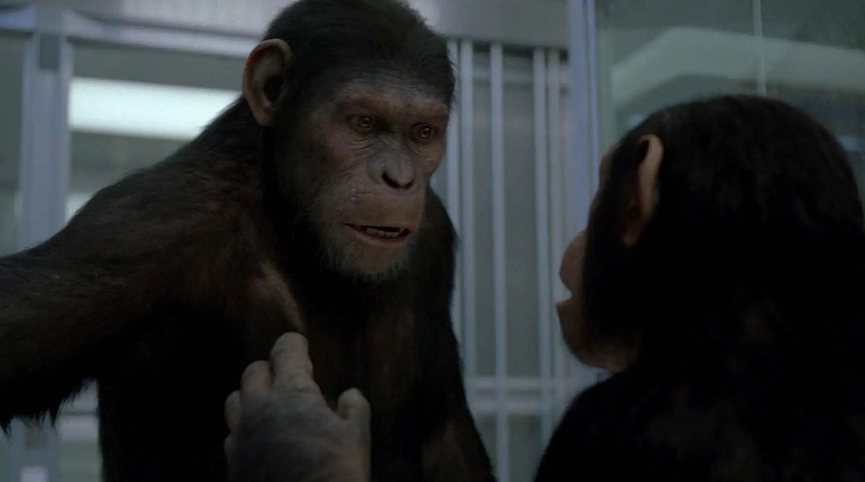 Rise of the Planet of the Apes Screenshot 4 Rise of the Planet of the Apes Screenshot 4