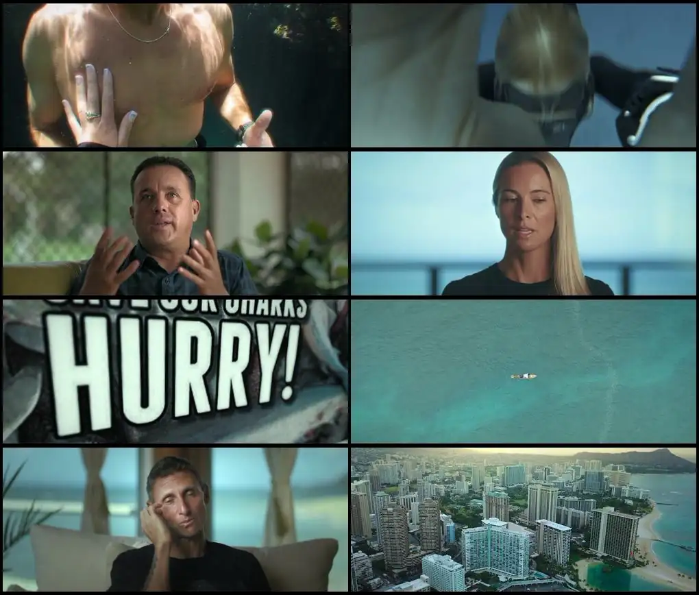 Shark Whisperer Screenshot 1