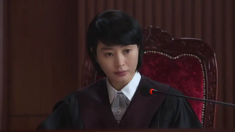 Juvenile Justice Screenshot 1