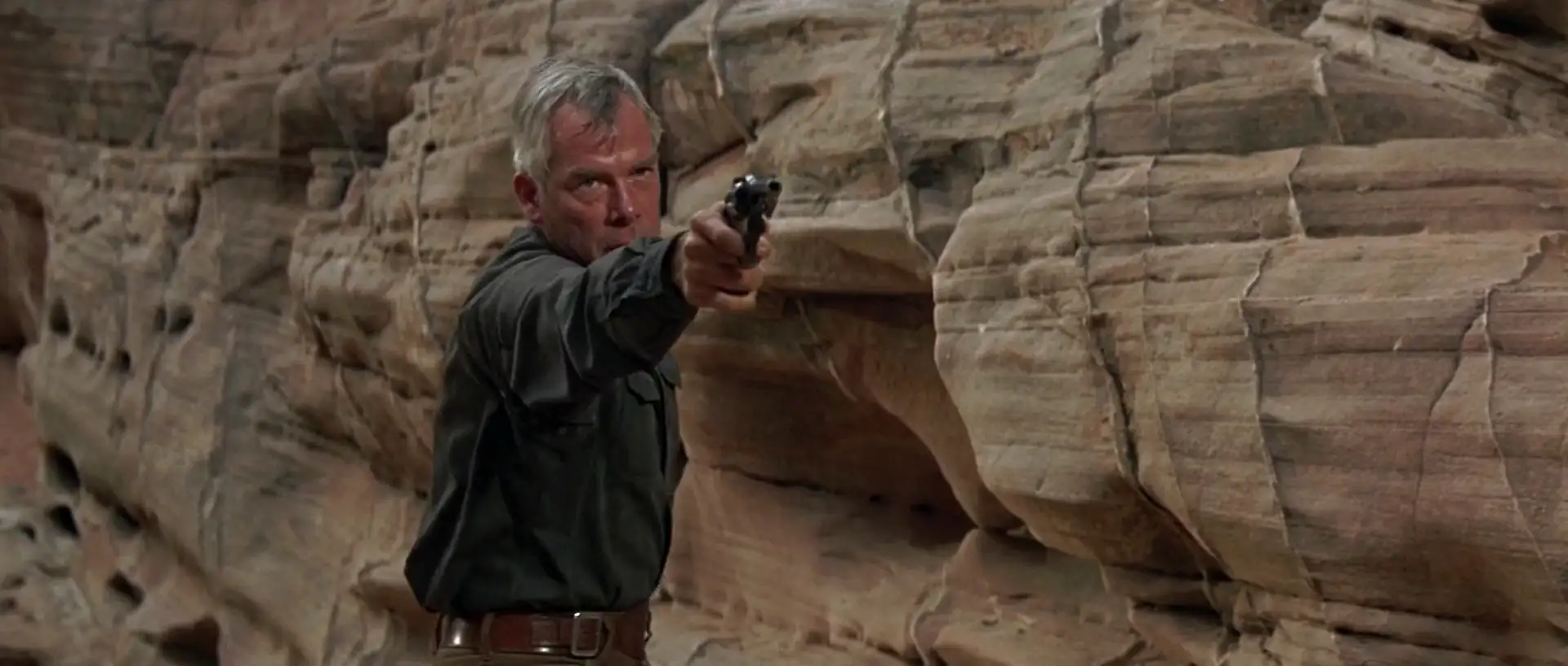 The Professionals Screenshot 2 The Professionals Screenshot 2