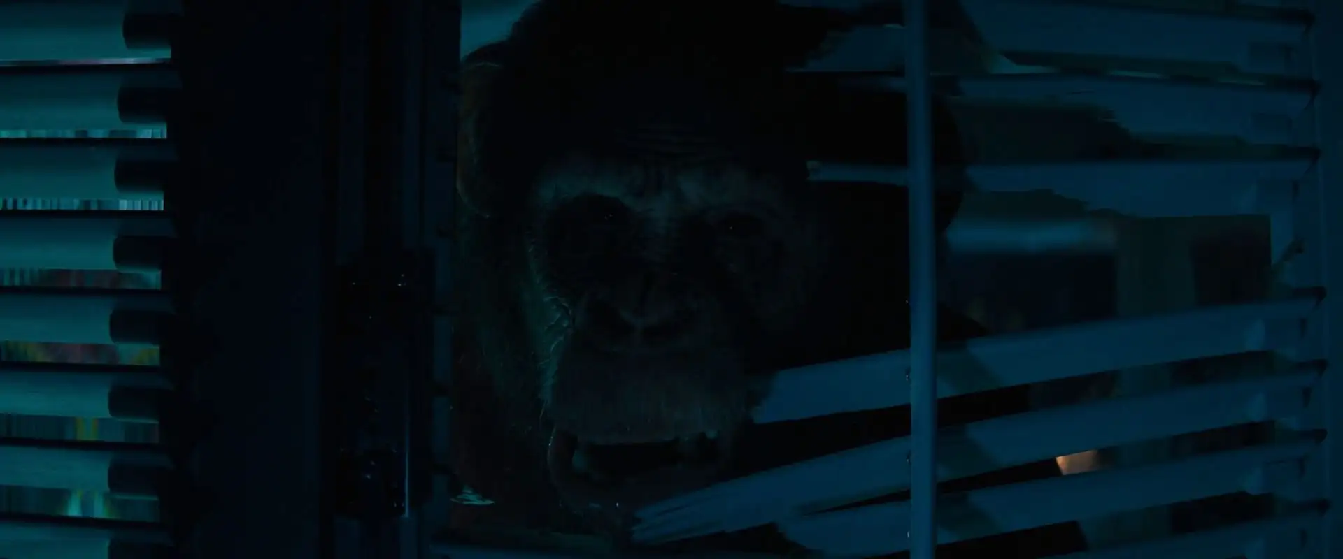 Primate Screenshot 4