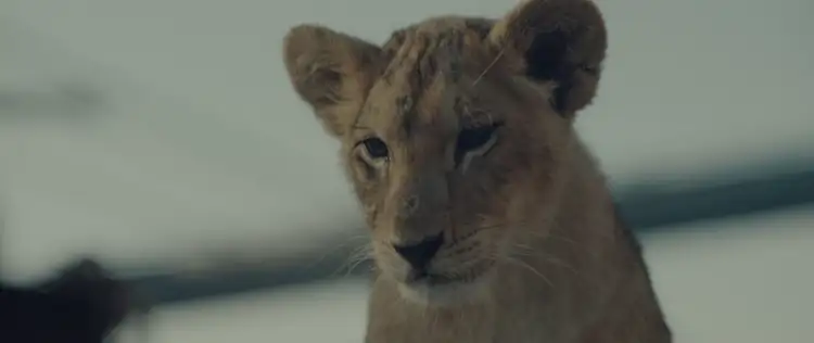 King Screenshot 1