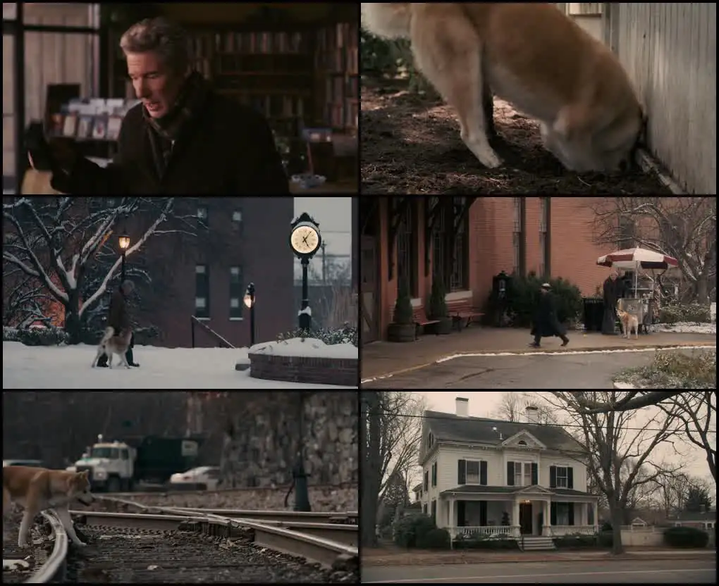 Hachi: A Dog’s Tale Screenshot 1 Hachi: A Dog’s Tale Screenshot 1