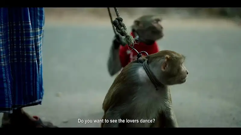 Laali Screenshot 3