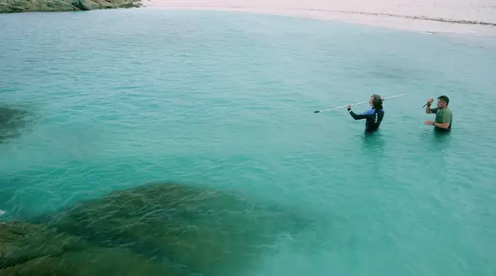 6 Headed Shark Attack Screenshot 2
