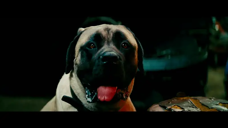 Transformers: Revenge of the Fallen Screenshot 3