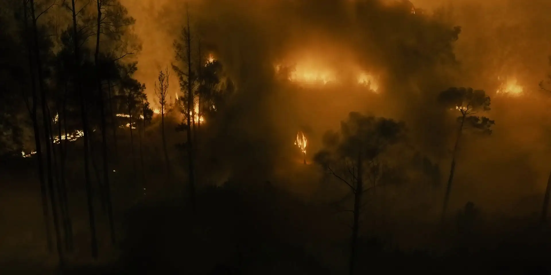House of David Screenshot 1