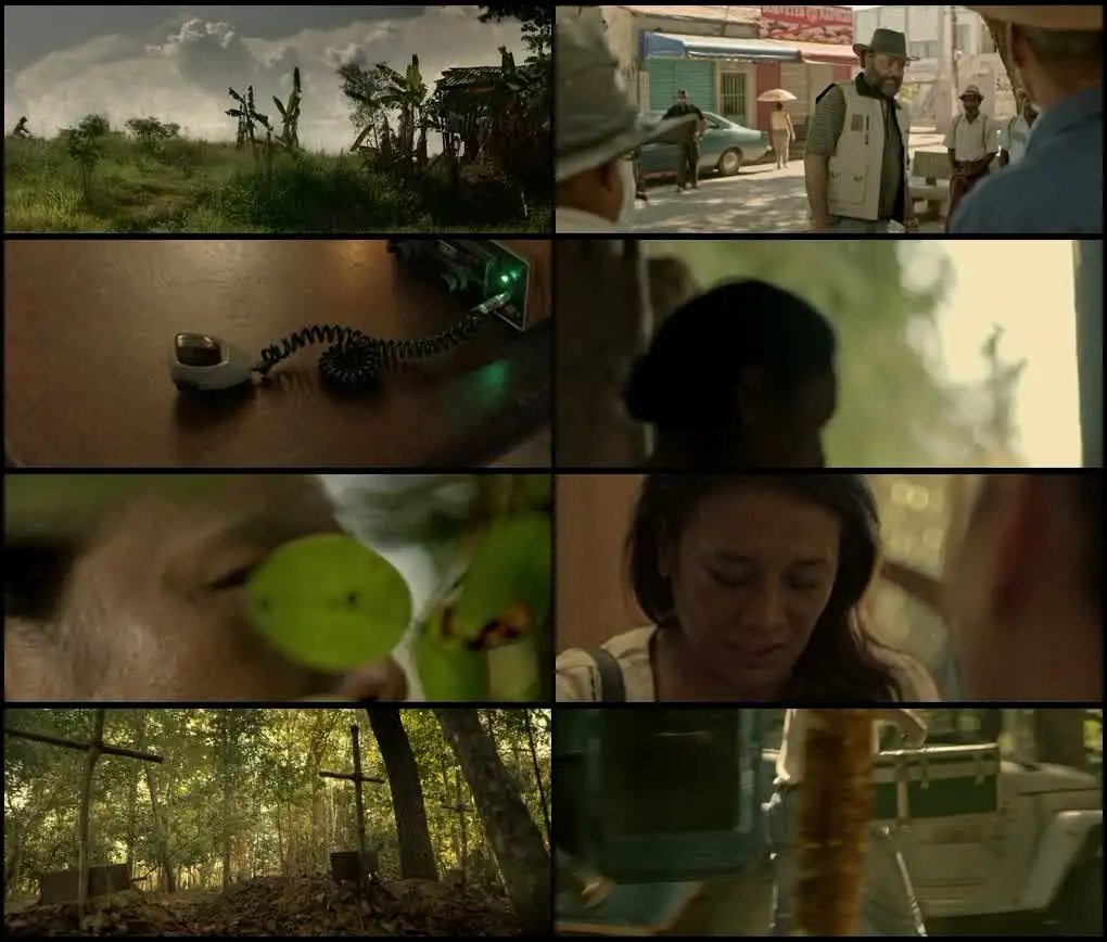 Pureza Screenshot 1