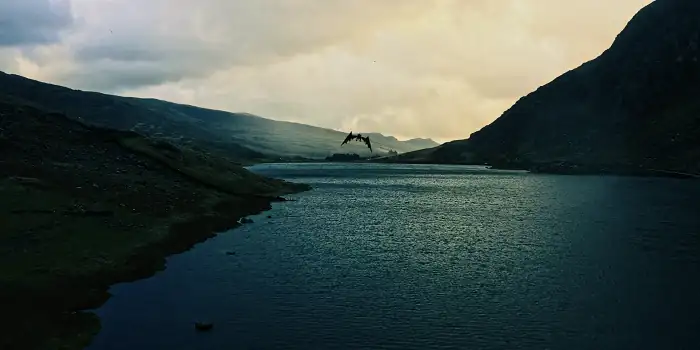 Dragon Fury Screenshot 2