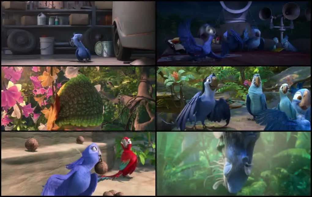 Rio 2 Screenshot 1