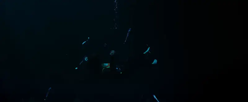 The Swimmers Screenshot 3