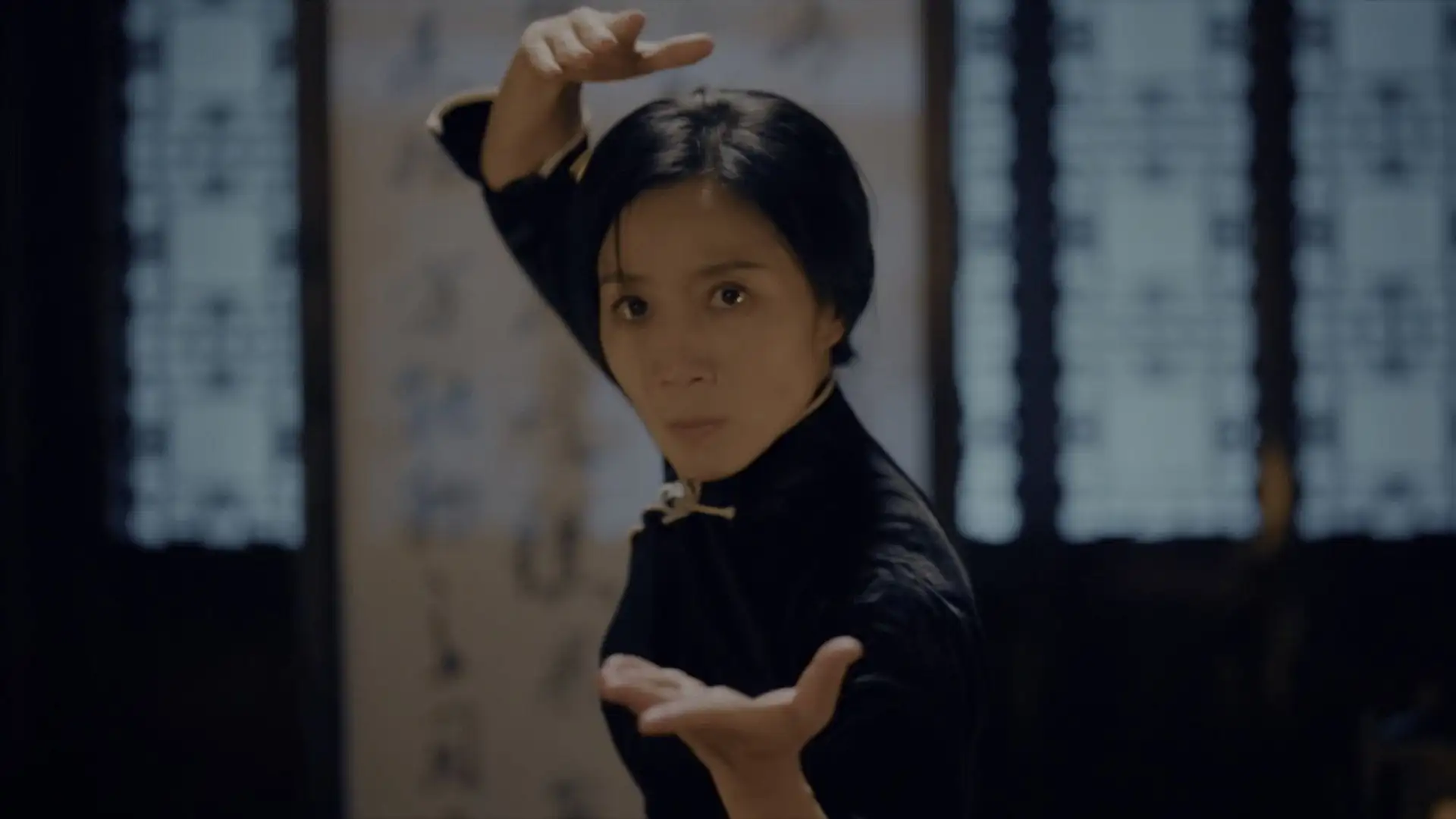 Ip Man: Kung Fu Legend Screenshot 1