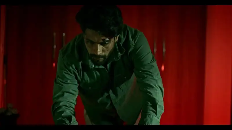 Rang Panjab Screenshot 3