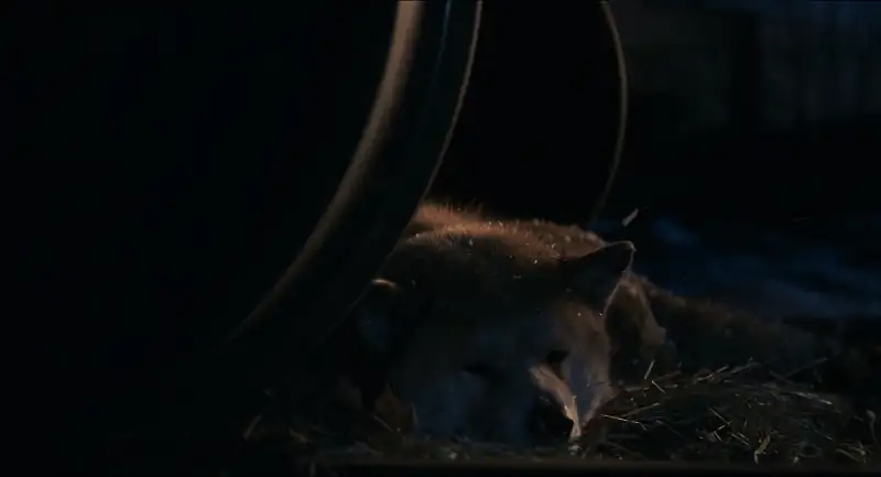 Hachi: A Dog’s Tale Screenshot 2