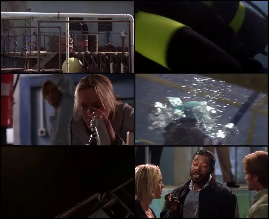 Shark Attack Screenshot 1