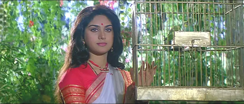 Damini Screenshot 3