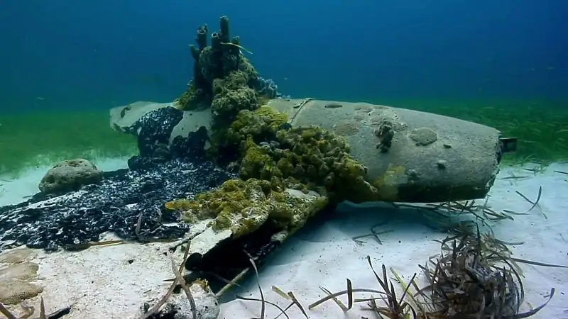 Curiosity Screenshot 3