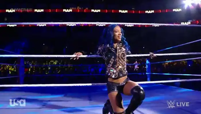 WWE Monday Night Raw 11th October Screenshot 3