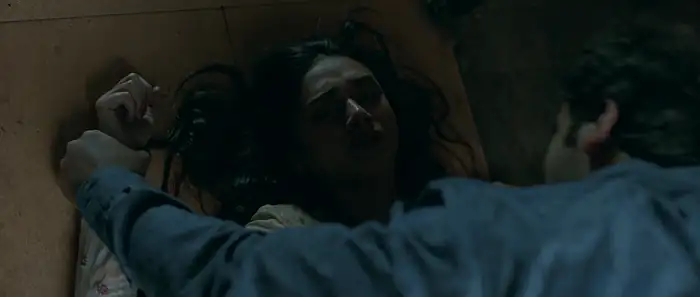 Bhoomi Screenshot 3